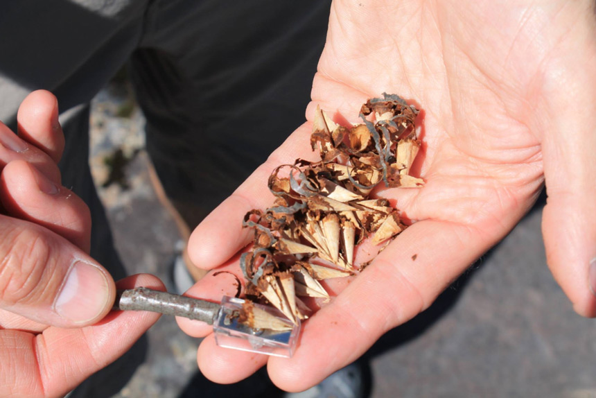 Aiguisoire et copeaux de bois © Survie Boréale