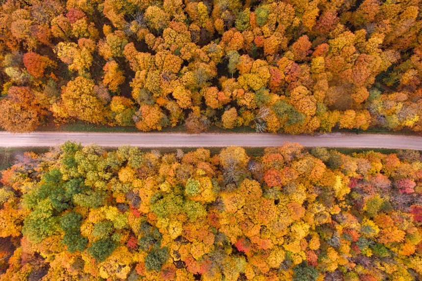 Sentier en automne © Unsplash - Aaron Burden