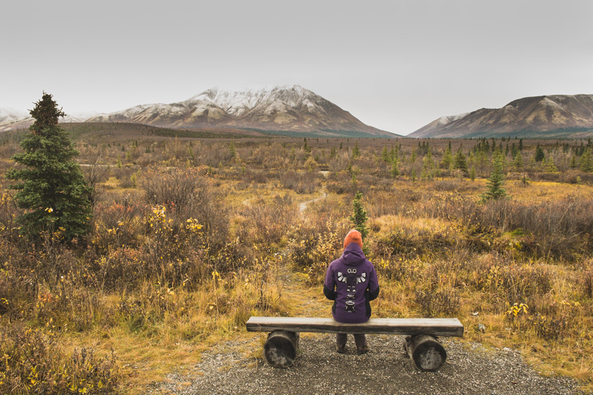 randonnée au parc national Denal © Jiri Kulisek, Shutterstock