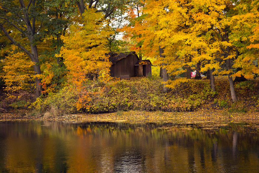 Ontario en automne © Shutterstock