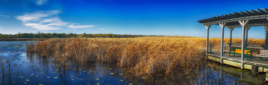 Parc national de la Pointe Pelée © Shutterstock