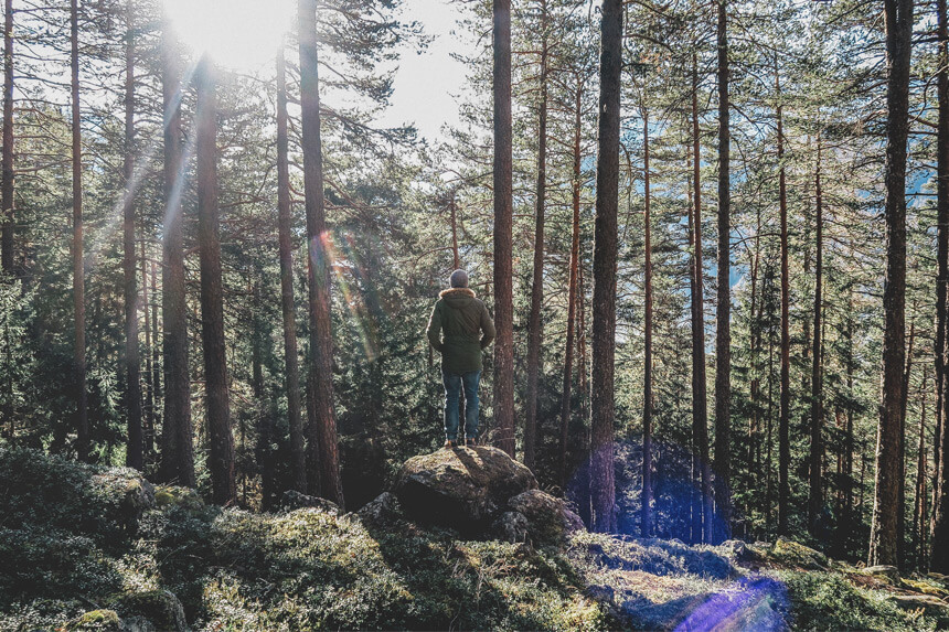 Y’a de l’amour dans le plein air © Paul Gilmore, Unsplash